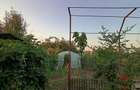 Casă cu 3 camere cu Teren 2200 Mp în Broșteni (Vișina) - 19