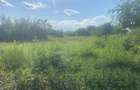 Vanzare teren intravilan cu dubla deschidere - Sacuieni - 3