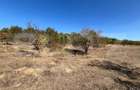 Teren spectaculos de 7.928 mp în Urvind – Vedere panoramică la barajul Crișului