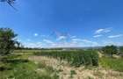 CASA LA TARA | 6770MP TEREN | JOSANI | BIHOR | - 3