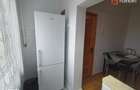 Apartament cu 2 camere de inchiriat in Timisoara, zona Girocului - 10