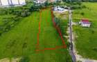 Teren industrial intravilan 9.810 mp Bascov, acces A1, E81 - 3