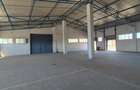 Spațiu Industrial și Logistic - 17