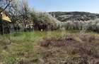 Teren intravilan in localitatea Criseni in suprafata de 2700 - 3