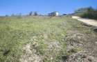 Vand teren pe Transapuseana in Ponor 3510mp - 1