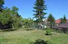 Curtea de Arges - Ultracentral - Casa autentica 180 mp, Teren 1336 mp - 4