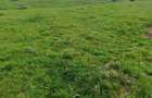 Teren 6000mp Maguri-Racatau, parau, utilita?i. Schimb Flore?ti - 9