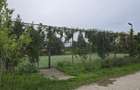 Proprietate Beharca teren 38464mp - 1