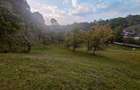 Casa de vanzare cu gradina teren de aprox 7000 mp,6.5 euro mp - 7