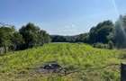 Vand Casa + teren 12.000 mp in Cernisoara, sat Modoia, Valcea - 5