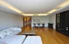 Apartament cu 3 Camere și Vedere către Parcul Herăstrău - 4