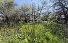 Teren 1047 mp + casa | deschidere DN | Lunca Corbului - Lunca Corbului (Arges) - 7