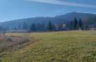 Teren de vanzare in Bucovina - 6