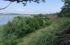 PRET REDUSTeren intravilanFurcenii Noi, jud. Galati. 2200 mp Lat 24m - 1