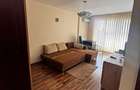 Inchiriez apartament 1 camera Ared Micalaca - 3