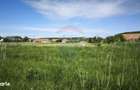 Teren de vanzare Blajel, jud. Sibiu | 15.360 mp - partial intravilan - 3