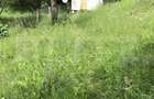 Teren intravilan | Suprafata 1000mp | Ideal constructie | Comuna Baban