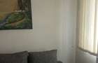 Apartament cu 2 camere semidecomandat în Central - 8