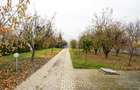 Vilă de excepție în Săftica, Balotești — proprietate cu chiriaș existent - 14