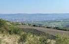 Teren extravilan de vanzare, 16810 mp, zona Valea Chintaului - 1