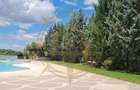 Dom00444 - vila luxurianta la lac cu ponton si casa de barca snagov - 16