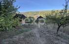 Cabana De Vanzare- Teren 2.500mp- Micesti 15 min de Pitesti