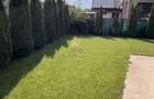 Vila de inchiriat, zona Henri Coanda, 5 camere, curte si gradina 450 m - 6
