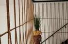 Apartament 2 camere(Loft), 54 mp utili, Etajul 1, Ultracentral , Oradea. - 7