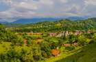 Teren si casuta de vanzare I Castelul Bran I Proprietar - 2