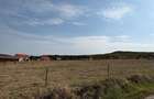 Teren intravilan 2 Ha -Ortelec parcelabil 2800eur/ar neg - 2