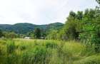 Teren 2785 mp, Central Langa Gradina Morii - 6