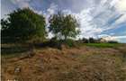 Teren Intravilan, 1030 mp, Zona Hamba-Sura Mare - 2