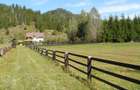 Casa cu etaj , de caramida, pe teren de 1680 M2, intabulat si cu cadastru,la Neagra, jud. Mures - 6