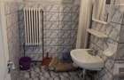 Inchiriez spatiu comercial 58 mp Podu Ros, Bd. Socola vad comercial excelent