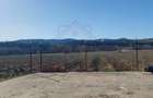 TEREN CU PLANTA?IE DE TRANDAFIRI ,,ROSA DAMASCENA,\ \CARANSEBE?\JUD.CS - 6