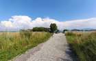 0% Comision | Teren Intavilan ideal pentru casa | 600 mp | - 5