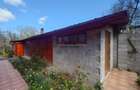 Casa cu gradina si foisor in Brazii Arad - 5