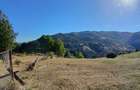 2 Case + teren 500 mp, C.F. in Muntele Rece, 22000 euro - negociabil