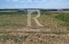 Teren intravilan | Cihei | Bihor - 4