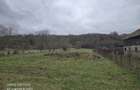 Teren intravilan Valcelele 5000mp - 8