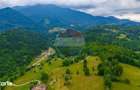 Teren intravilan 2,410mp Rasnov - Valea Panicelului, vedere panoramica - 2
