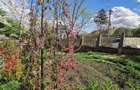 Pet Friendly | Garsoniera la casa | Curte proprie