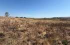 Teren De vanzare In Barlad strada Capitan Grigore Ignat nr 47 - 14