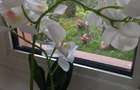 vand schimb ap 2 camere