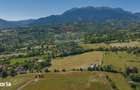 Teren Bran -Sohodol, Strada La mesteceni, 6900mp