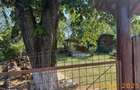 Casa si teren cota parte 1/3, Ivanesti, ID: R2759090 - 4