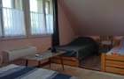 Casa de vis in Delta Dunarii, Gorgova | Liniste, natura si independenta energetica - 5