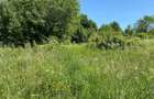 Vand parcele de teren situate la aproximativ 35 km de Cluj-Napoca, in localitatea Dangau Mare - 2