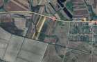 Teren extravilan 28.300 mp intre Gavojdia ?i Jena - 2