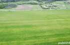 48 Hectare Teren extravilan arabil 5800 Ha euro - 10